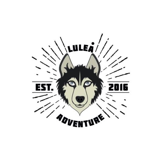 Luleå Adventure AB - Kommunens företag 2024